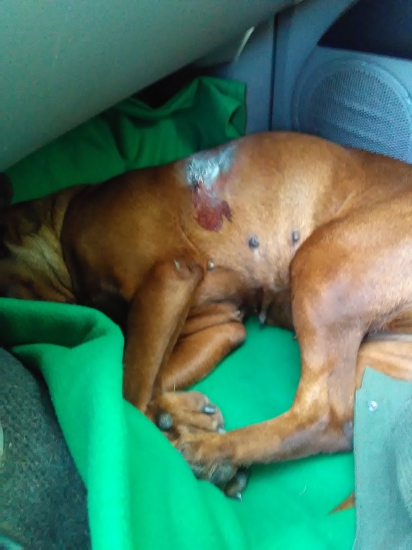 Aj takto končia dohľadávky