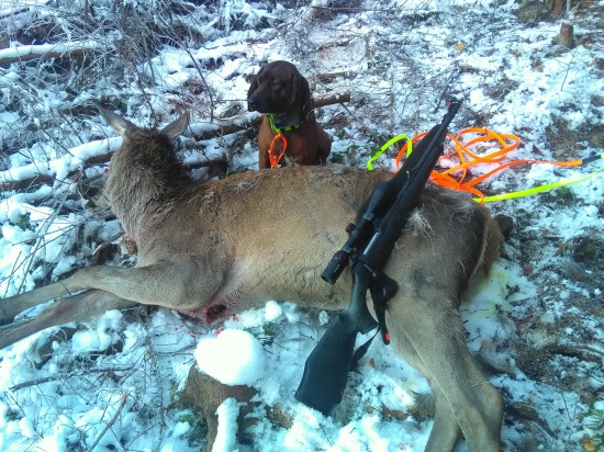 13 úspešná dohľadávka