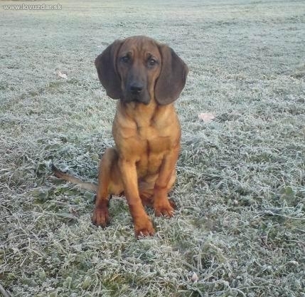 Na rannej prechádzke