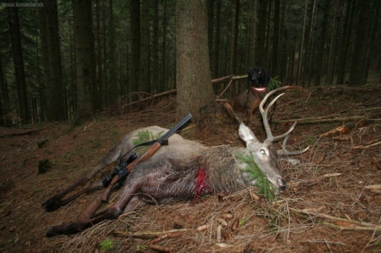 IHF I. cena ARIS Vrátna dolina