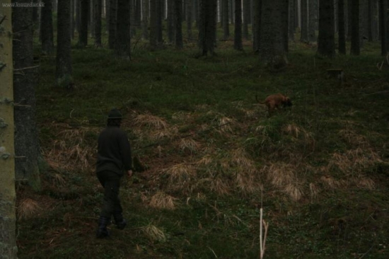 Konečne môžeme trenovať