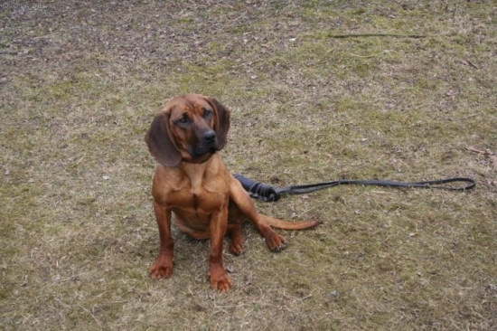 DITA Vrátna dolina 10. mesiacov