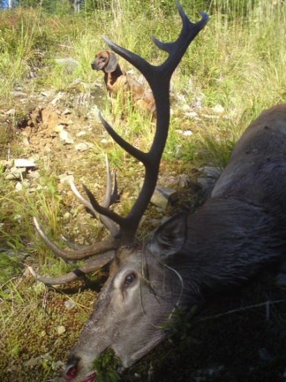 Po úspešnej dohľadávke