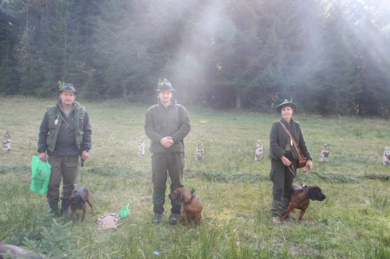 DITA  na PF v I. cene - 212 b.