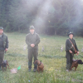 DITA  na PF v I. cene - 212 b.