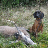 Úspešná dohľadávka