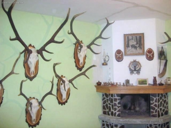 Moje trofeje