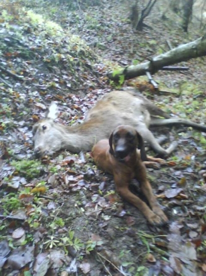 Cinda Vrátna Dolina - 4 úspešná dohľad. - 3000m, dostrelená