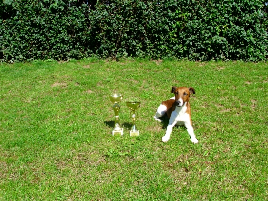 MSBL  cacit   r.cact