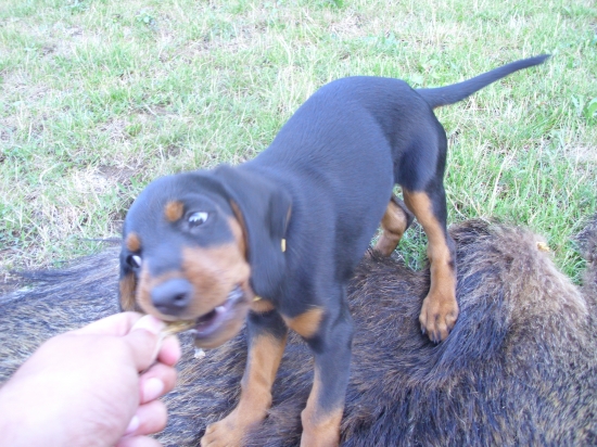 budúca šampionka... :)