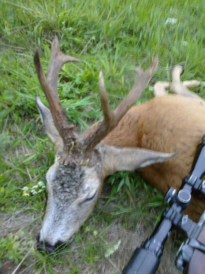 III.vt v ruji ( bronz 107,73 CIC)