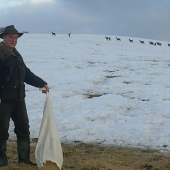 s hladom sa aj plachosť stráca... už sa to nesie kočky