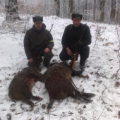 dvaja bratia dva diviaky