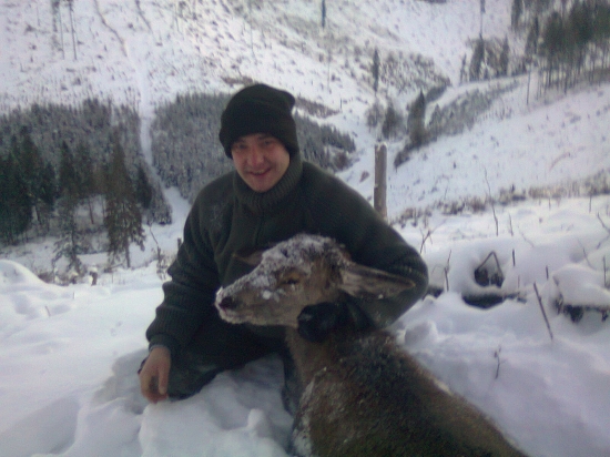 jelenča