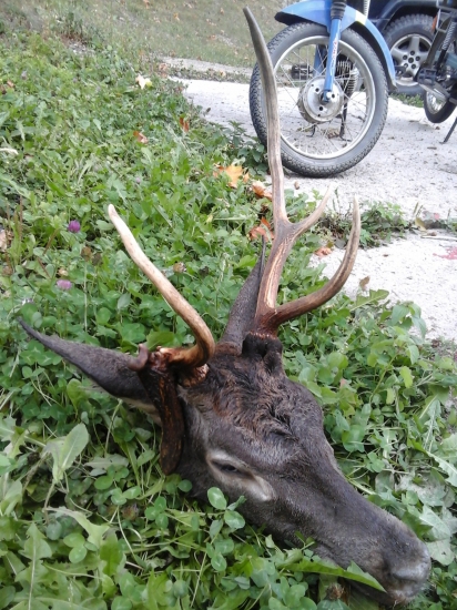 predsedov včerajší