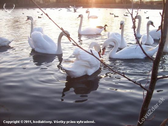 krása na řece ohři u žatce