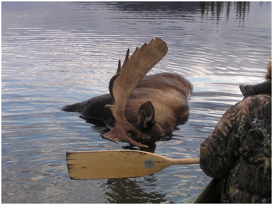 a jak ho dostat z jezera