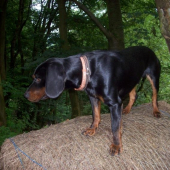 Napřed vše obhlídnu...