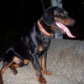 po robotě aj odpočinek