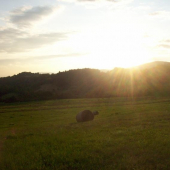 já a Tomi se vracíme domu