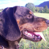 Co to je štěstí...