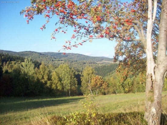 moj kraj