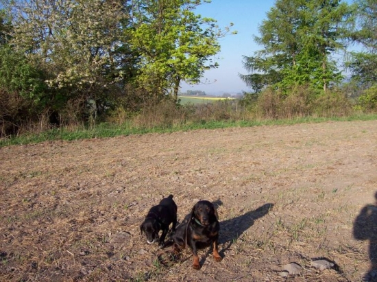 vzpomínka na kámoše