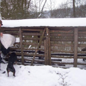 Každodení příděl.