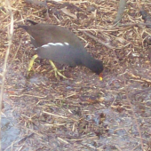 vzácné a mám radost