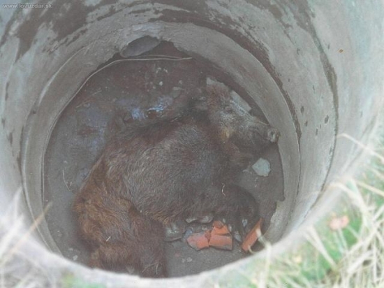 když se ukradne skruž