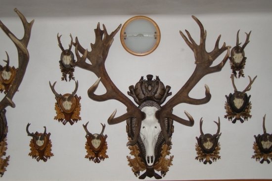 Nepravidelny 38torak