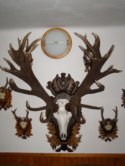 Celkom slušny 34torak