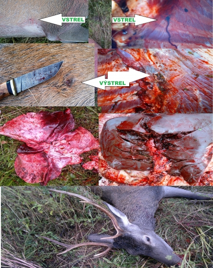 Nosler Accubond 30-06 165gr