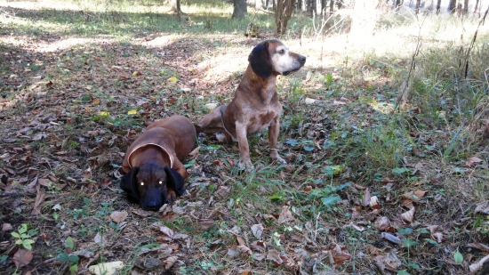 Začíname s odložením