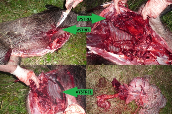 Barnes ttsx- 13,6g.338 BM