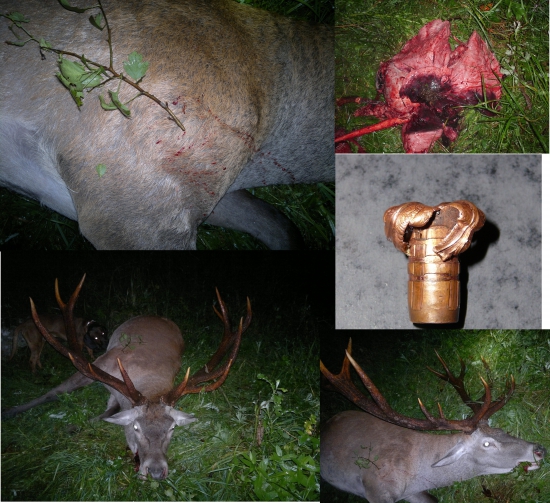 Barnes ttsx- 13,6g.338 BM