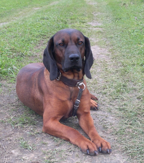 Tak to máme za sebou