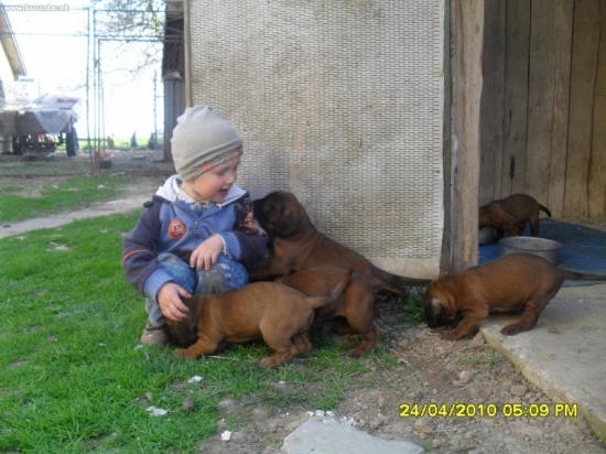 JA a môj psík :)))