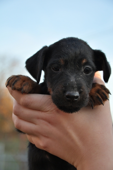 pre mna najkrajsie oci na svete :)