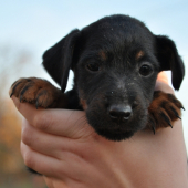 pre mna najkrajsie oci na svete :)