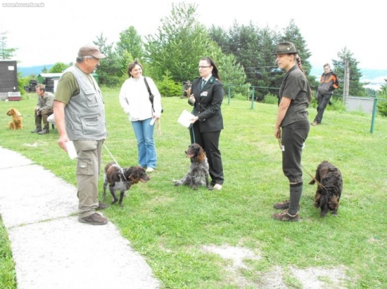 sielnica 2009