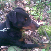 moj aronko :O)