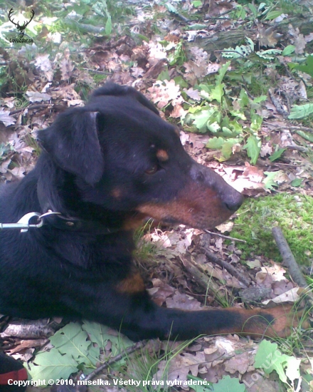 moj aronko :O)