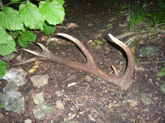 Pri vyznačovaní prebierky