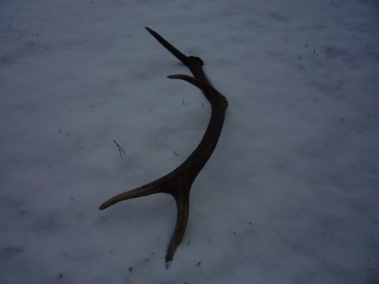 Trojkráľový osmák