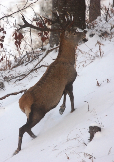 podla zhodov 200 bodov :-)