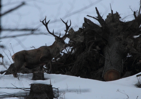 veď to už zhoď !!