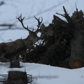 veď to už zhoď !!