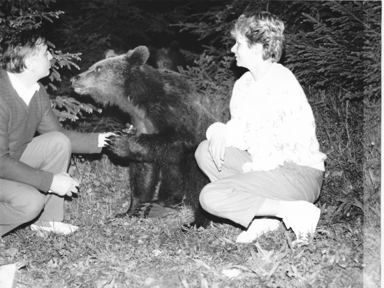 adrenalínové kŕmenie medveďov