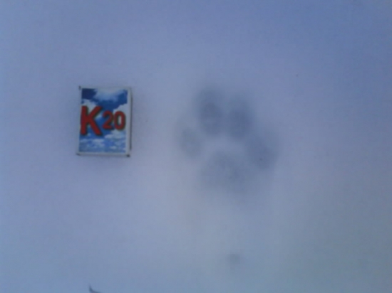 z čoho to je ??? Prosím o radu.